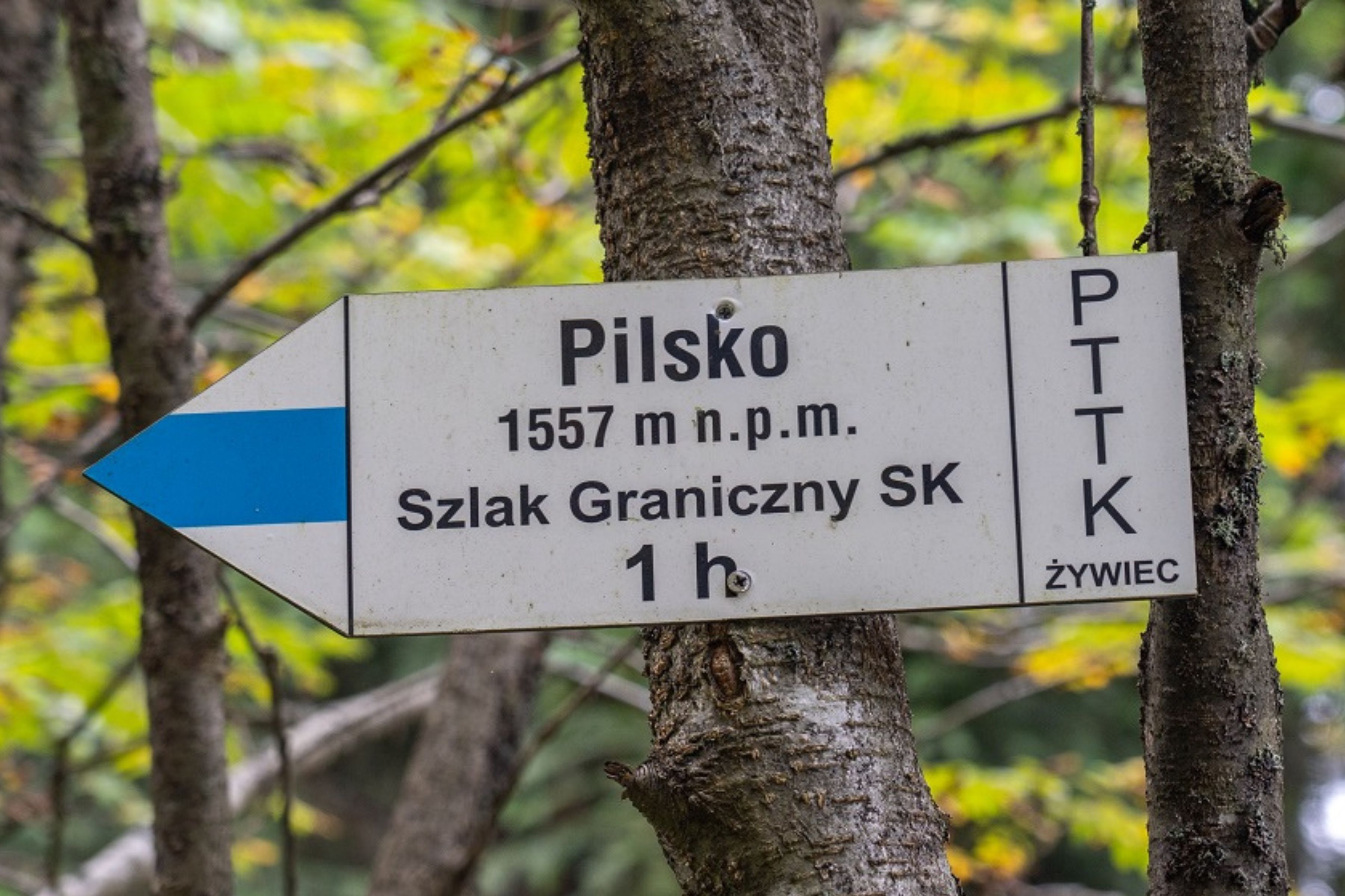 🏔️❤️ Idziemy na Pilsko dla Laury!